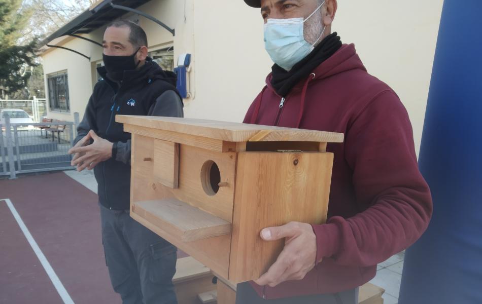 Η Ελληνική Ορνιθολογική Εταιρεία έβαλε ξύλινες φωλιές για σπάνια γεράκια στο σχολείο του Νέου Σιδηροχωρίου αφού ενημέρωσε τους μαθητές