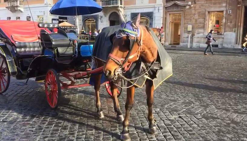 Ρώμη: Απαγορεύονται πλέον οι βόλτες με τις άμαξες γιατί τα άλογα υποφέρουν