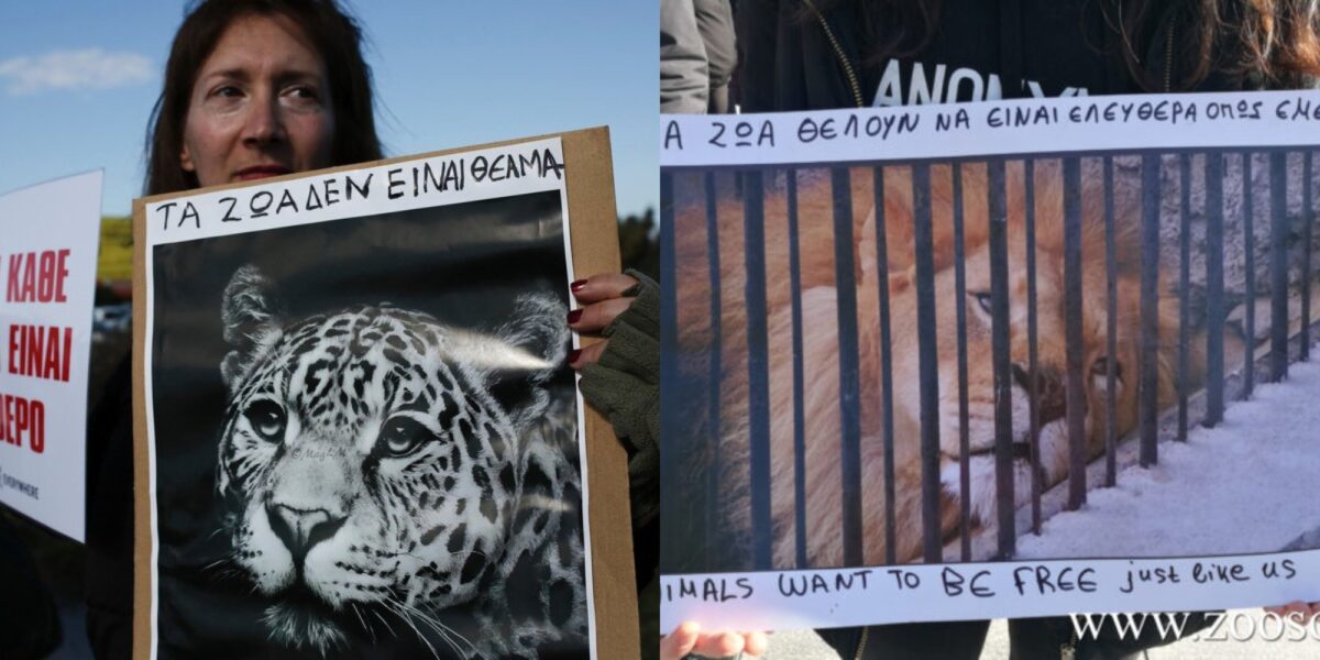 Διαμαpτupία Φιλόζωων Στη Θεσσαλονίκη Κατά Του Εγκλεισμού Ζώων Σε Ζωολογικούς «Κήπους»