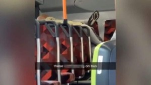 Σάλος: Ζευγάρι έκανε σ@ξ σε λεωφορείο - Έξαλλοι οι επιβάτες!