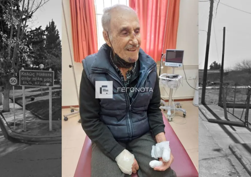 93χρονος δέχτηκε επίθεση από αδέσποτα σκυλιά 