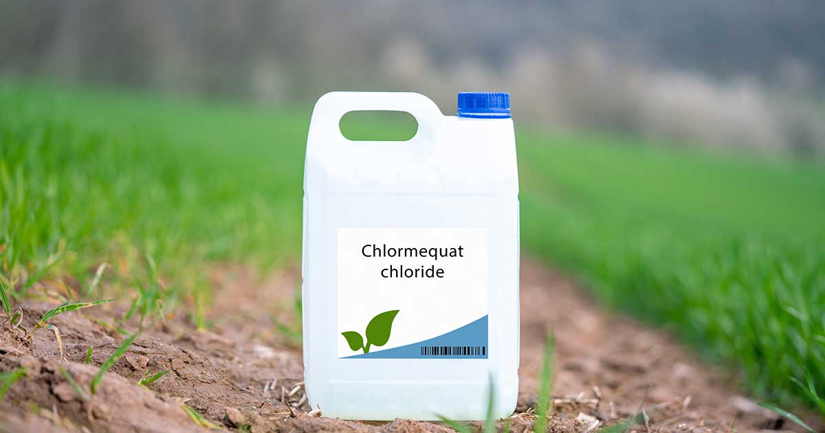 chlormequat chloride