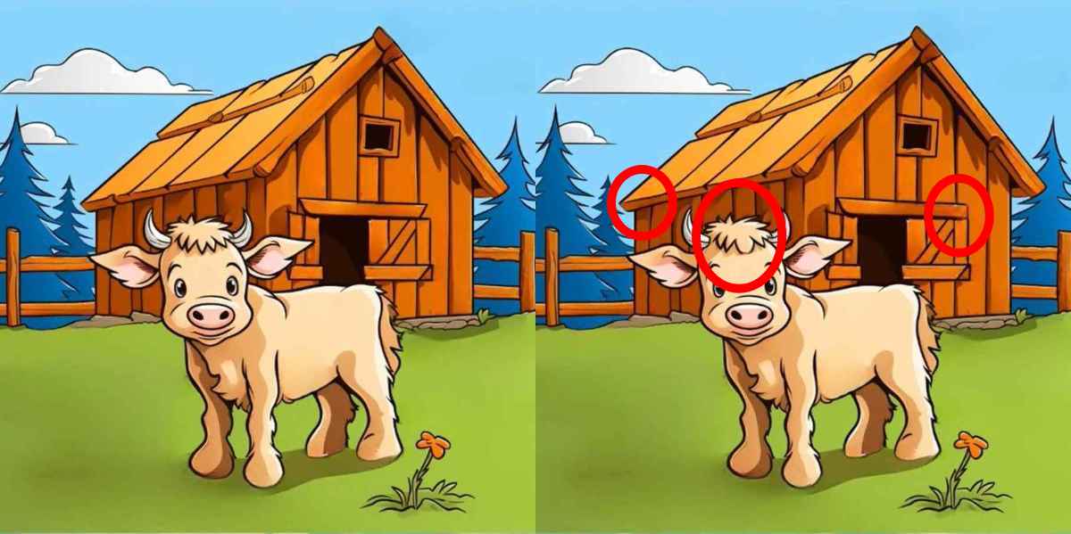 Τεστ παρατηρητικότητας, διαφορές, αγελάδα λύση