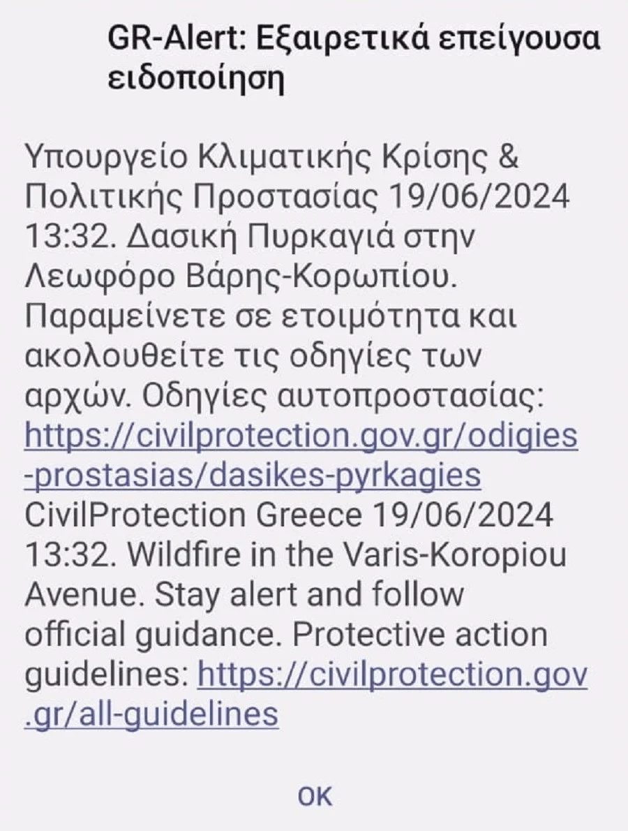 Ήχησε το 112 για δασική πυρκαγιά στη Λεωφόρο Βάρης – Κορωπίου 5 112