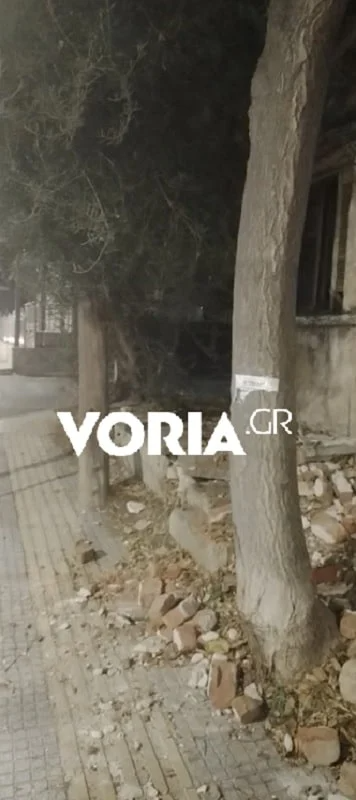 Βίντεο