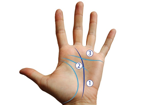 width=620