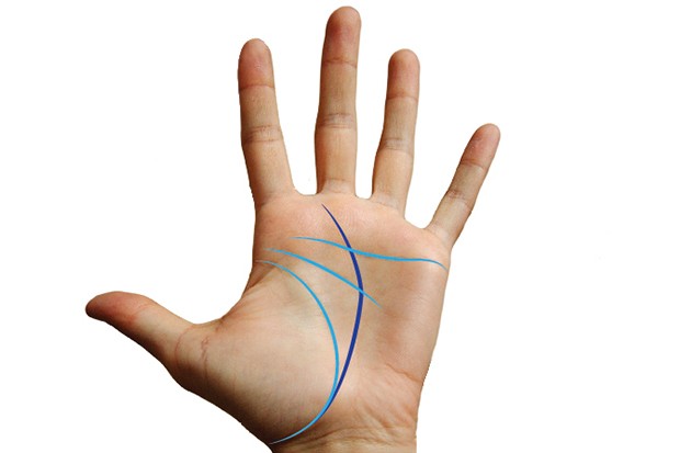 width=620
