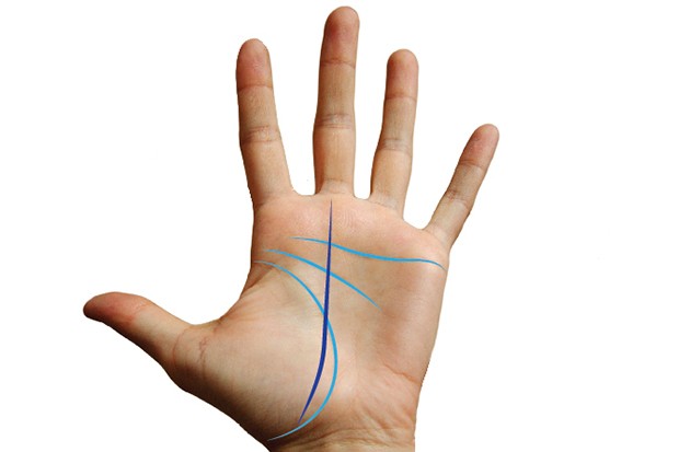 width=620
