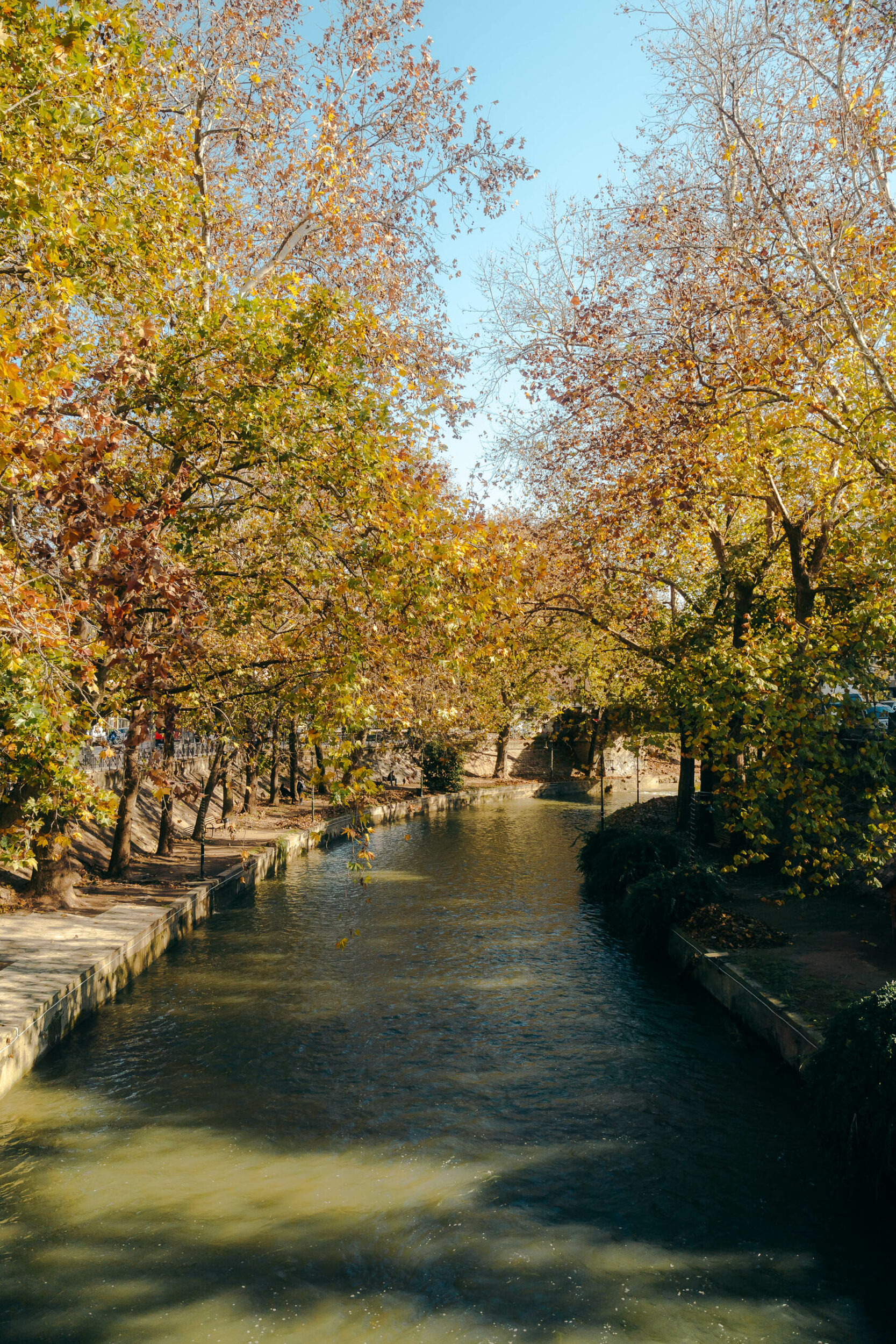 width=1667