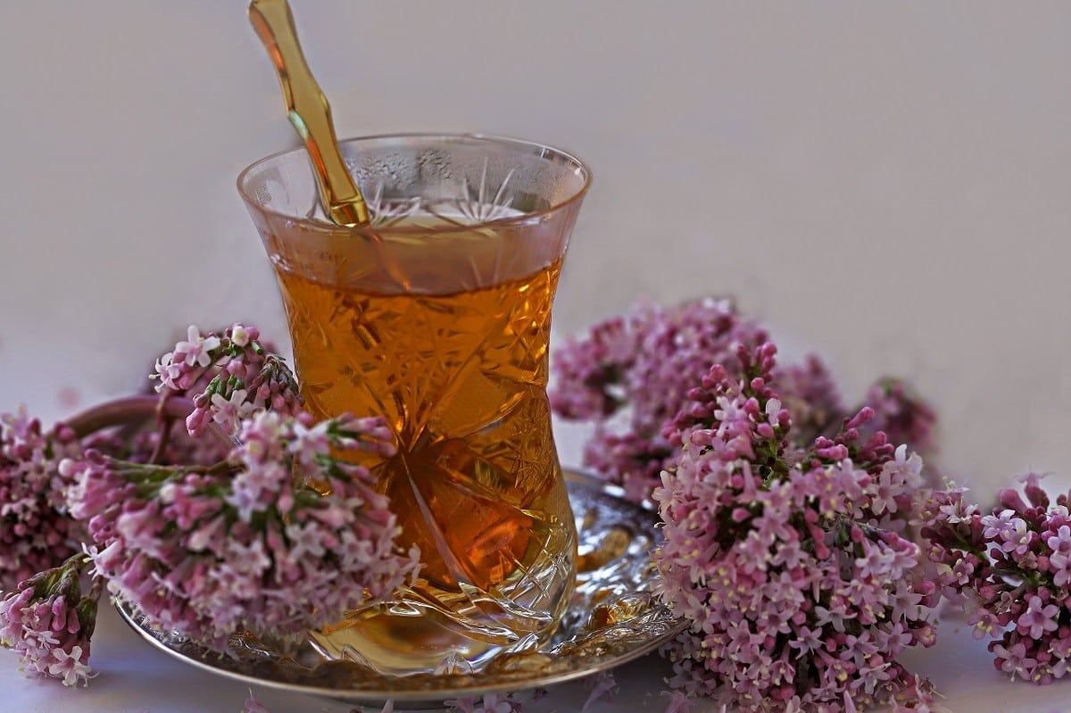 valeriana rofhma