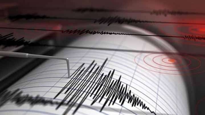 seismografos workenter