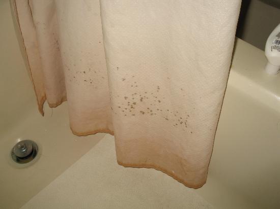 pink slime on shower