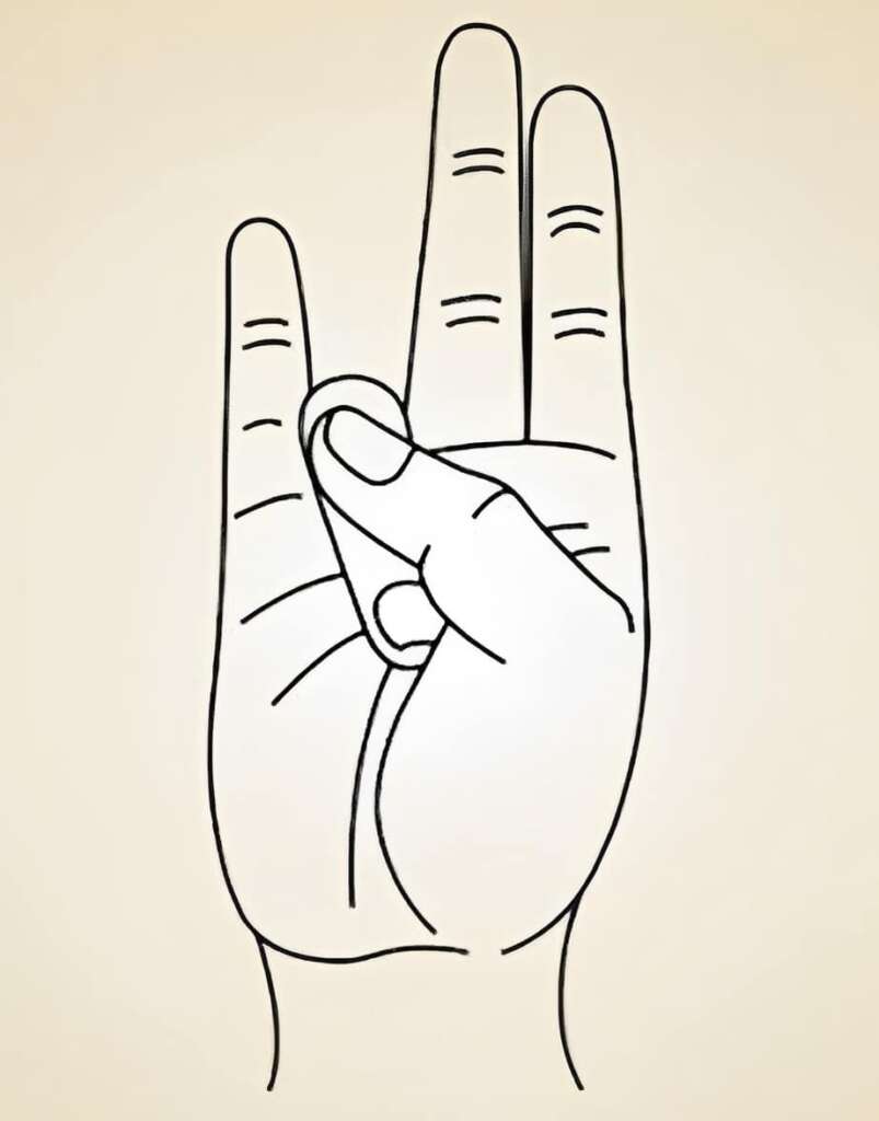 width=803