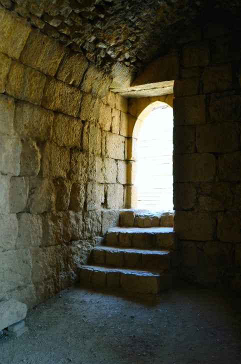 width=482