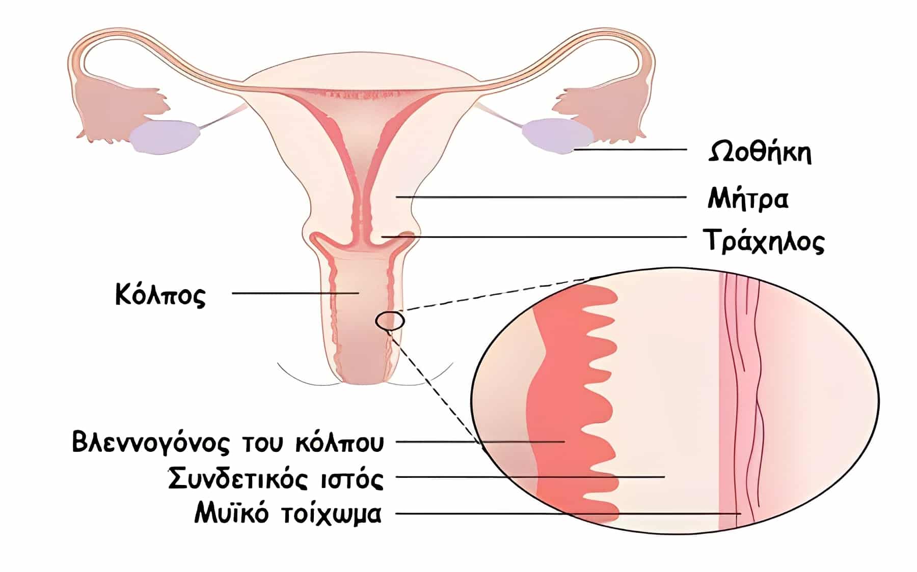 width=1800