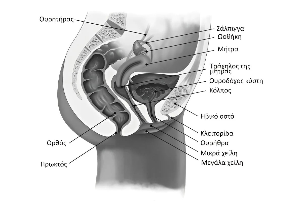 width=1200