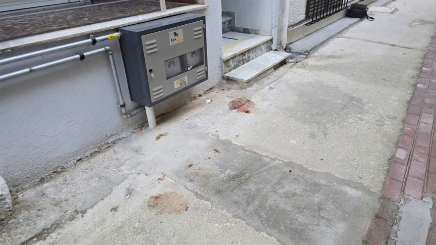 Μαθεύτηκε όλη η αλήθεια για τον γιο που σκότωσε την ίδια του την μητέρα στην Λάρισα - Γι'αυτό το έκανε 9 Λάρισα: Στον θώρακα και την κοιλιά μαχαίρωσε ο 21χρονος τη μητέρα του - Καθάρισε το σπίτι μετά το έγκλημα