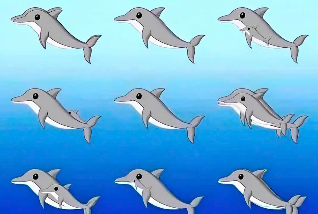 width=1068