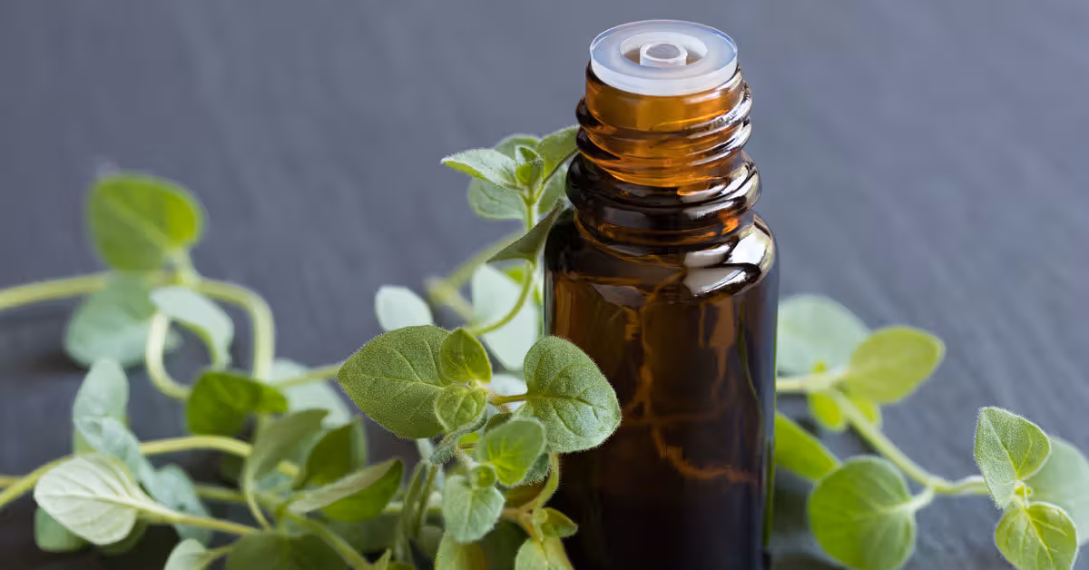 oregano oil benefits and uses 1200x628 facebook 1200x628 1