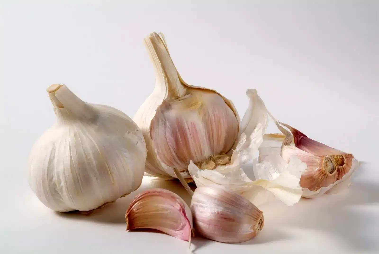 bulbs cloves garlic