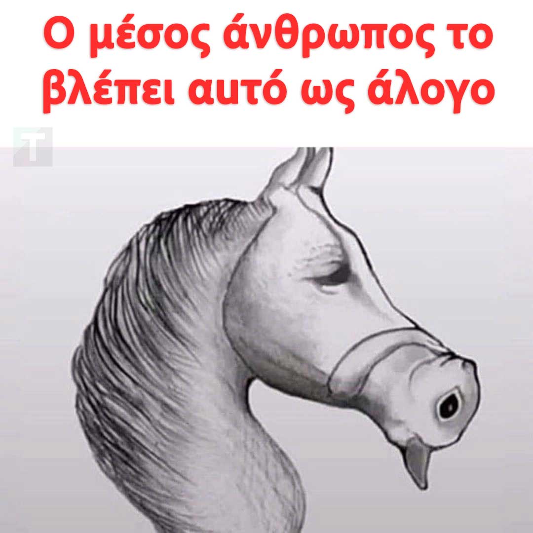 width=1080