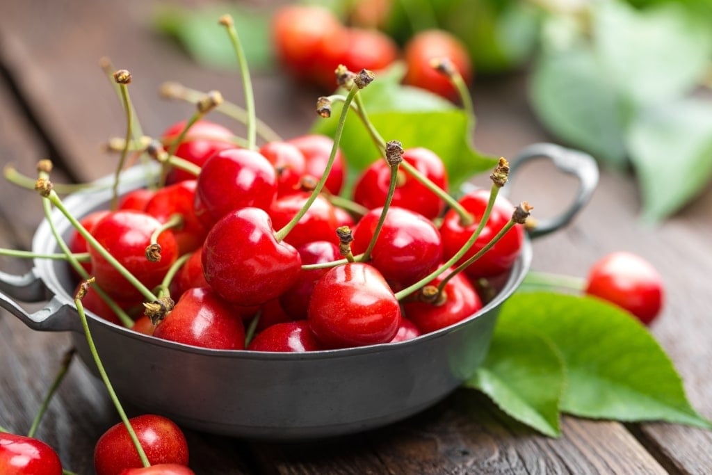 cherries 1024x683 1
