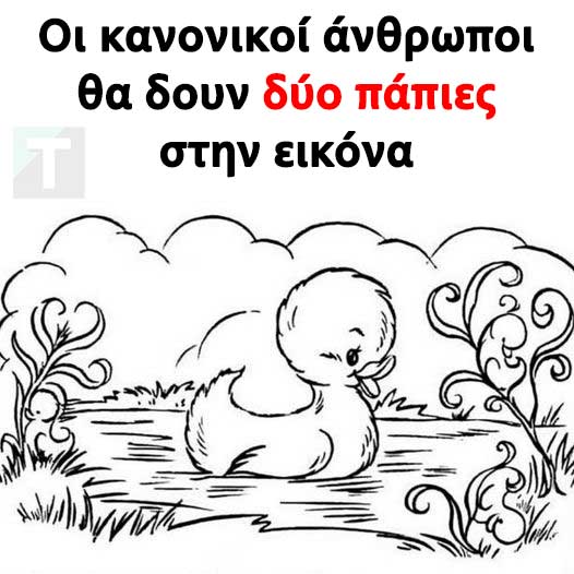 width=526