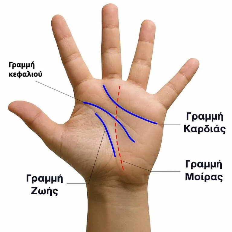 width=768