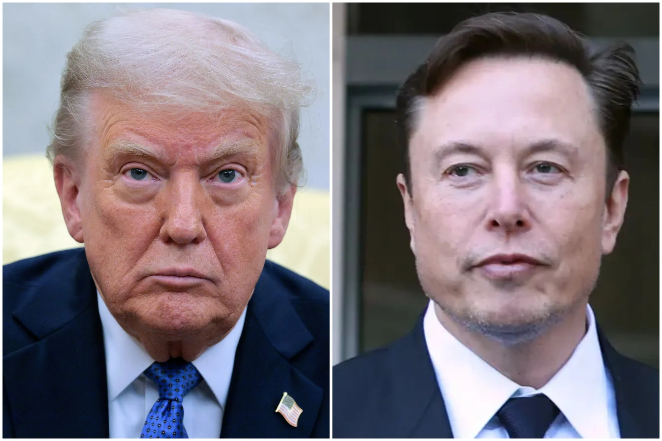 trump musk