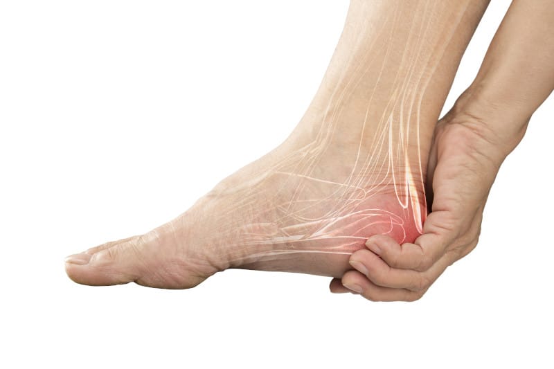 foot