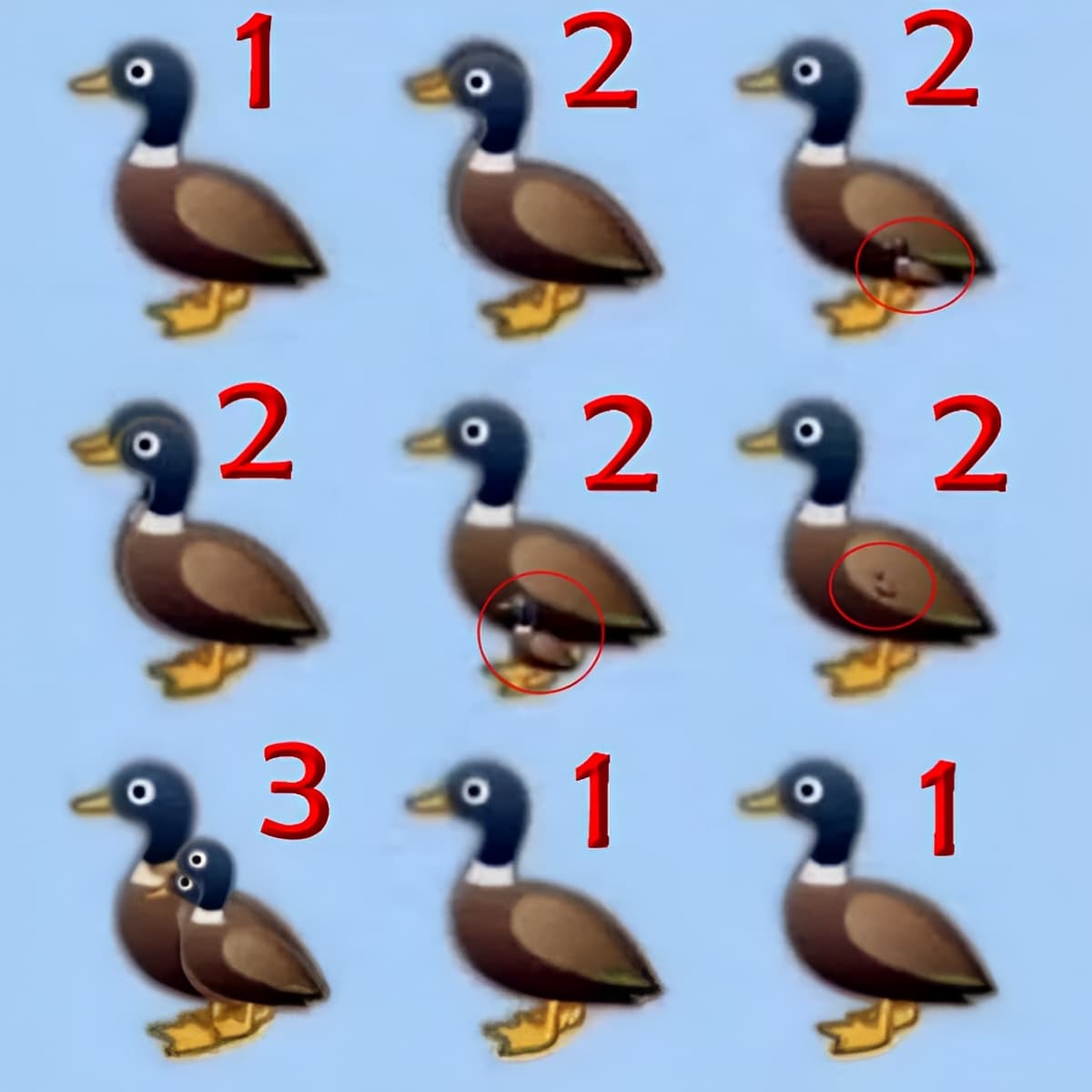 3