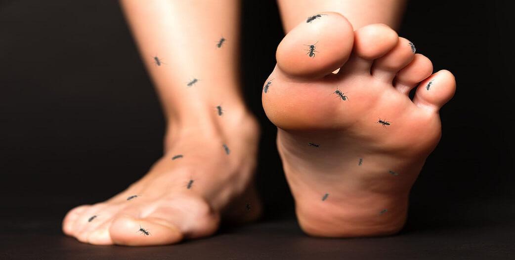 moudiasma