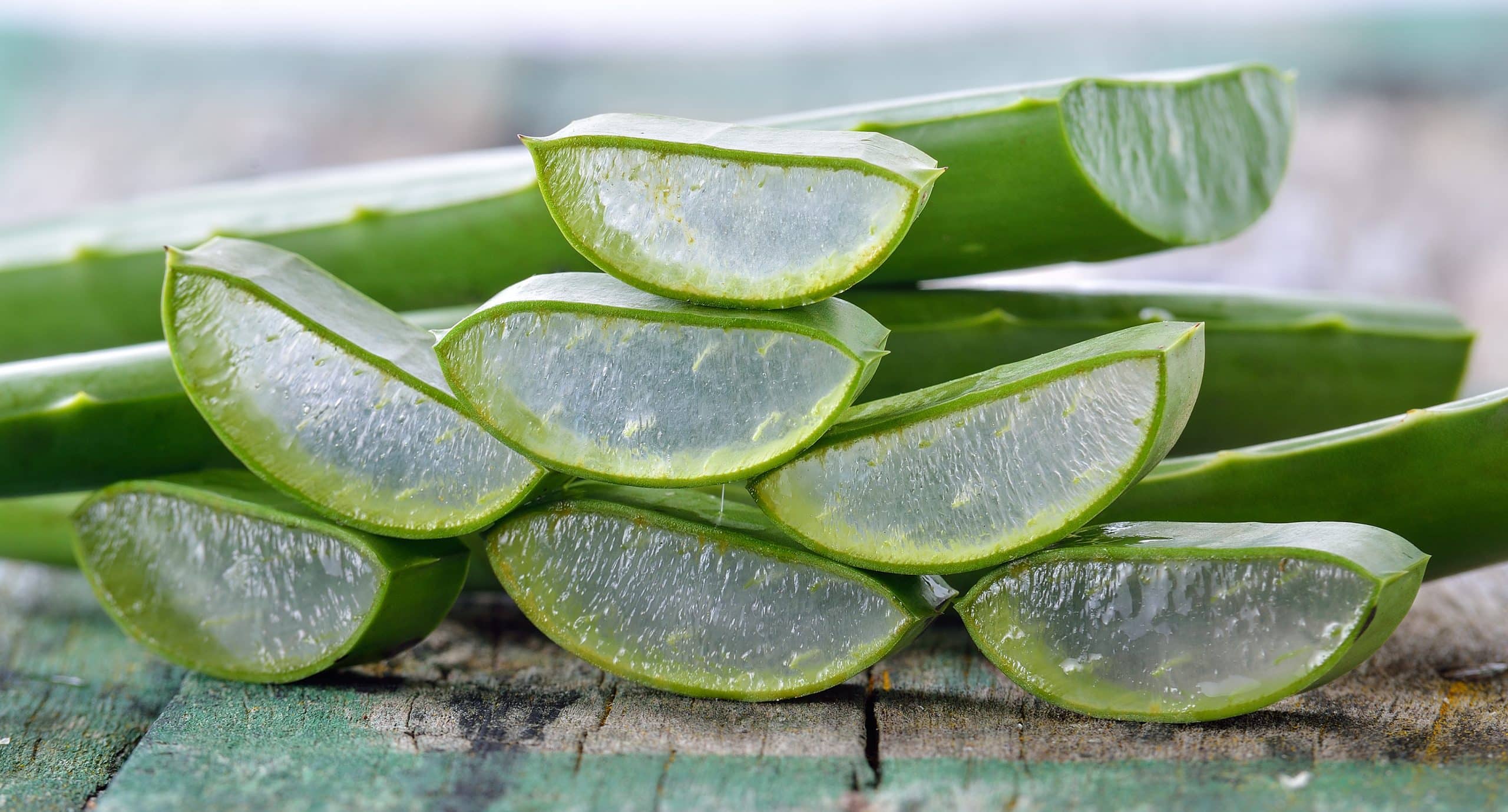 aloe