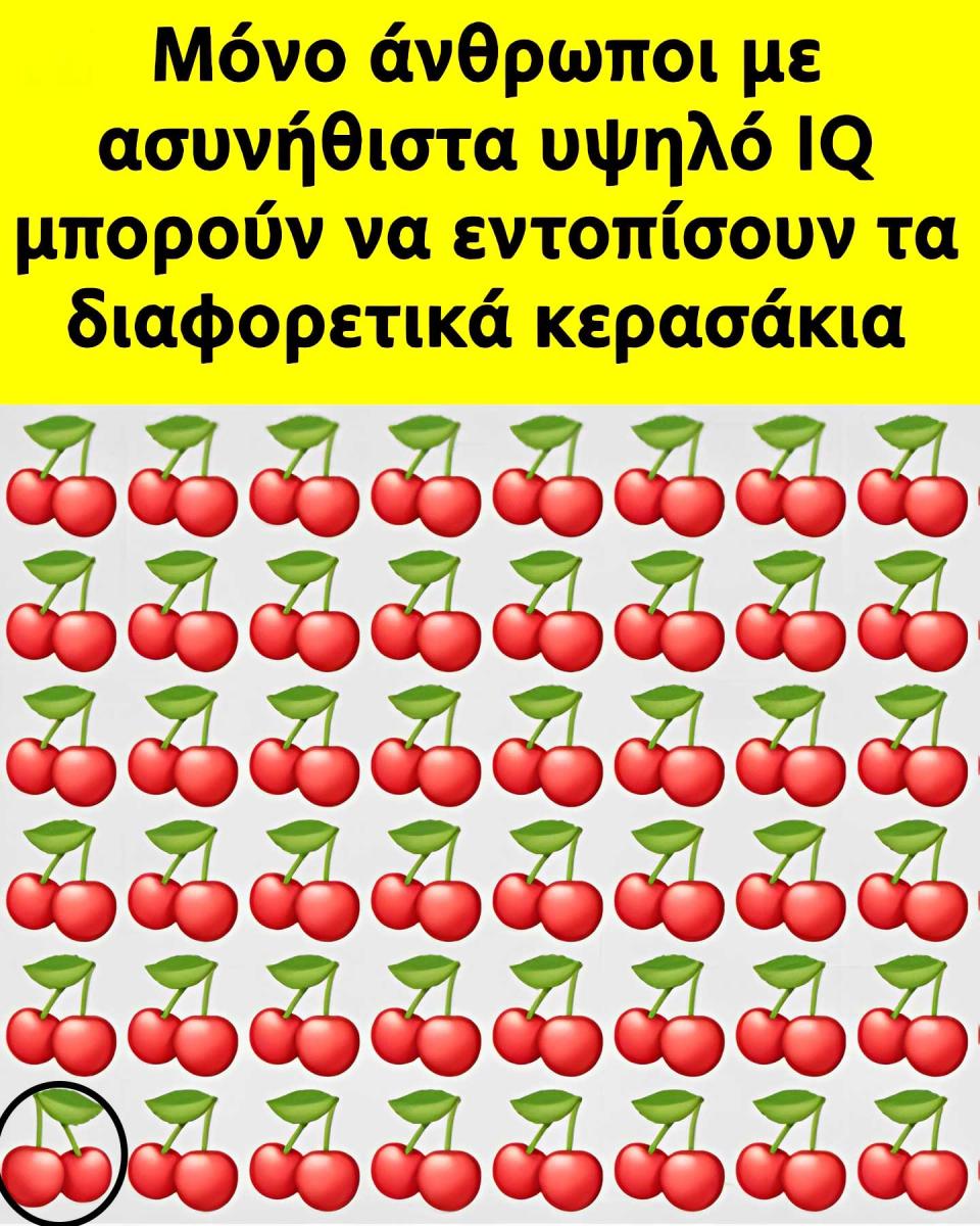 3333