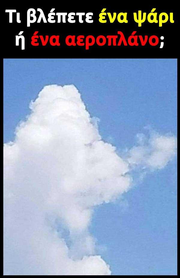 333