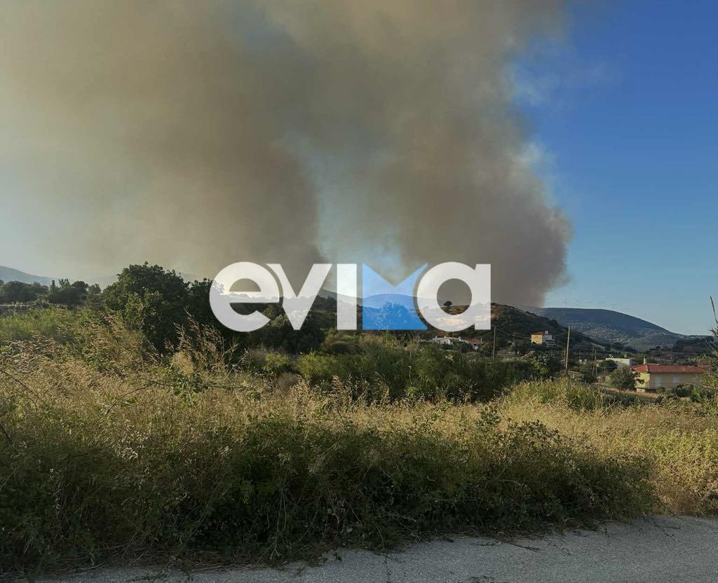 Μεγάλη φωτιά στην Εύβοια - Οι φλόγες φτάνουν στα πρώτα σπίτια 4 att.iwuibo8fgvs u8htq 5blbuihtqqdirzikwuytqtfhu