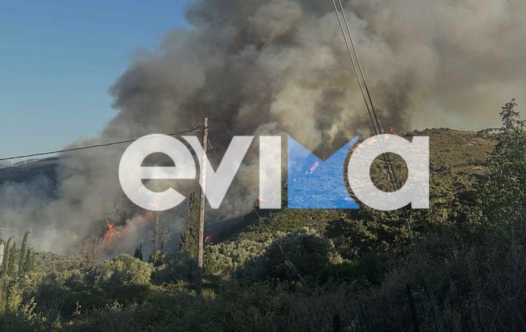 Μεγάλη φωτιά στην Εύβοια - Οι φλόγες φτάνουν στα πρώτα σπίτια 8 att.l209w0jcnkqyjmbd j80gomn37n2 jife5xlfaz0le0 1