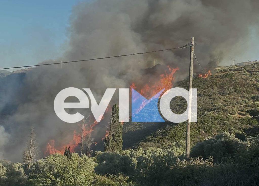Μεγάλη φωτιά στην Εύβοια - Οι φλόγες φτάνουν στα πρώτα σπίτια 9 att. nideo9keifv ahq dndqnjrglyazbbto8pxorid3dw 1