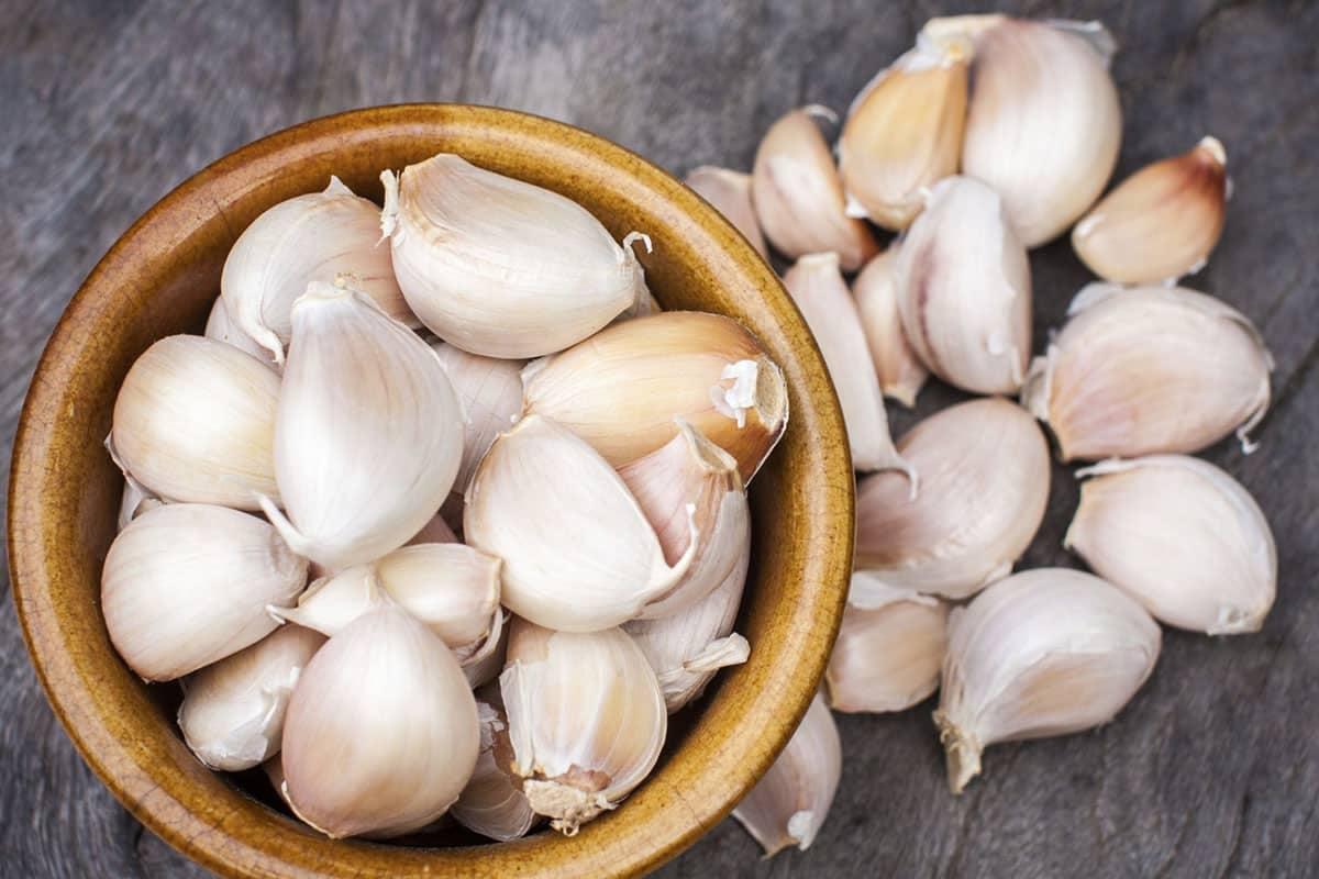 garlic