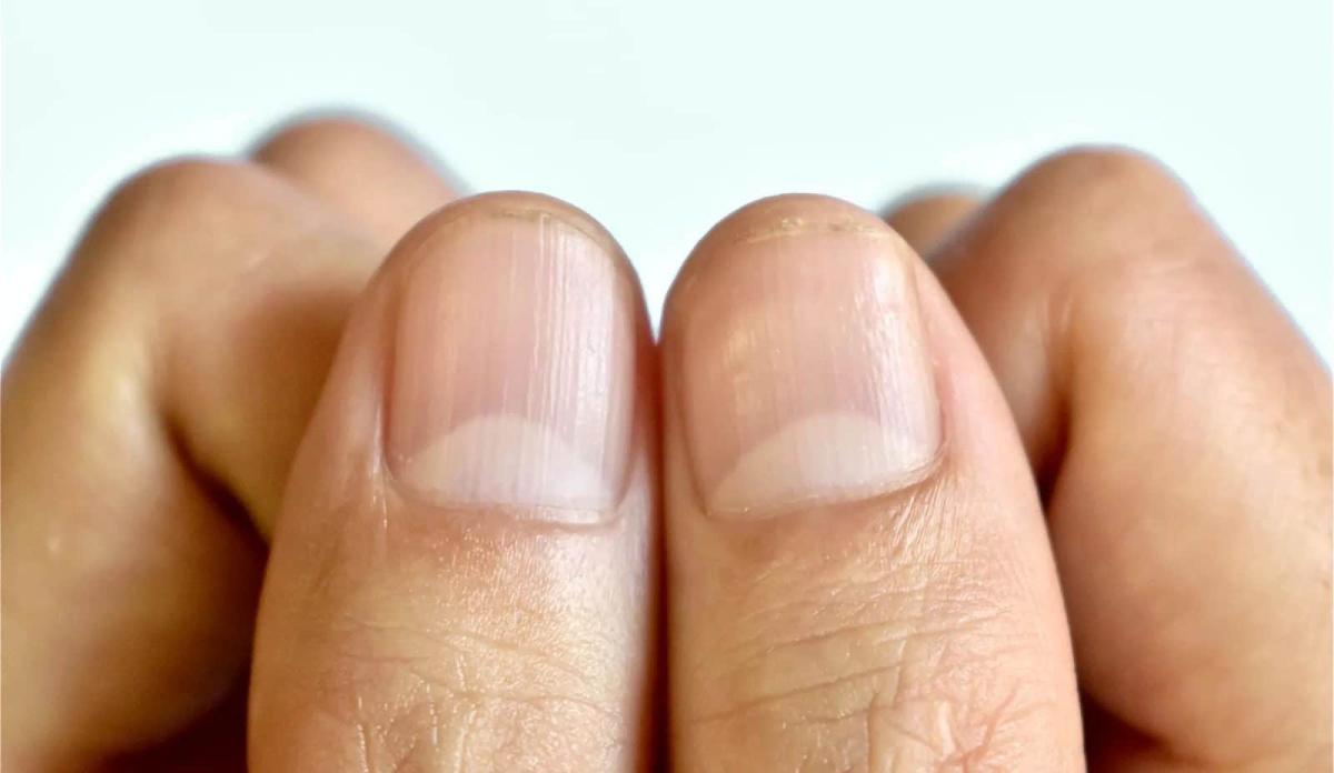 half moon fingernails 1449865098 1600x928 1