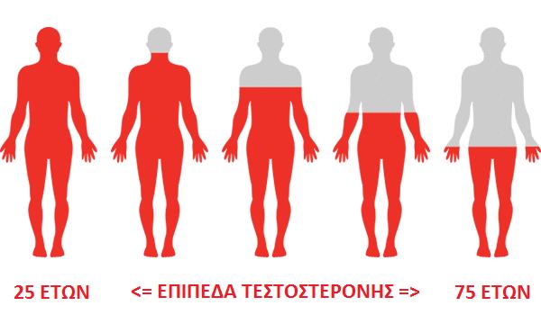 andropaysi 3