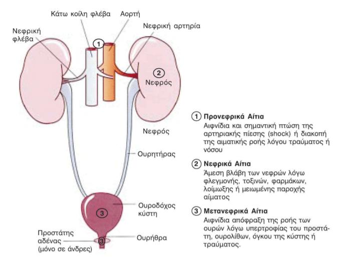 aneparkeia