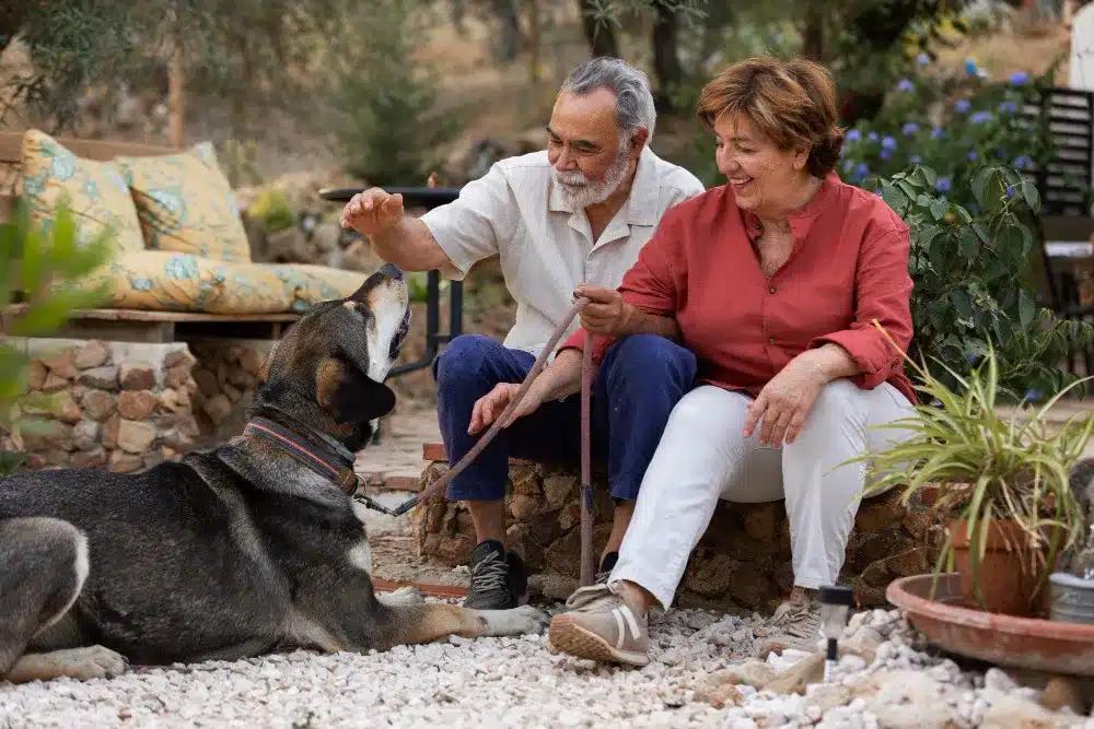 8 healthy habits aging adults sh