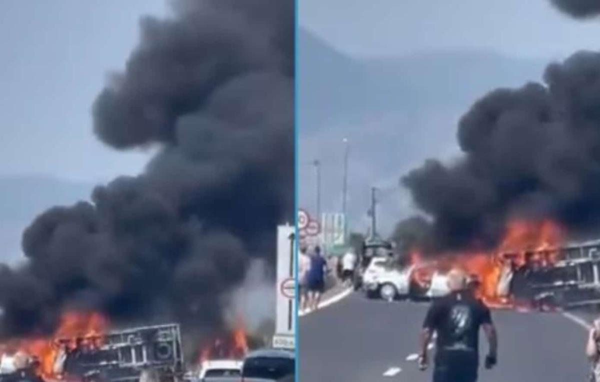 Φριχτό egnatia