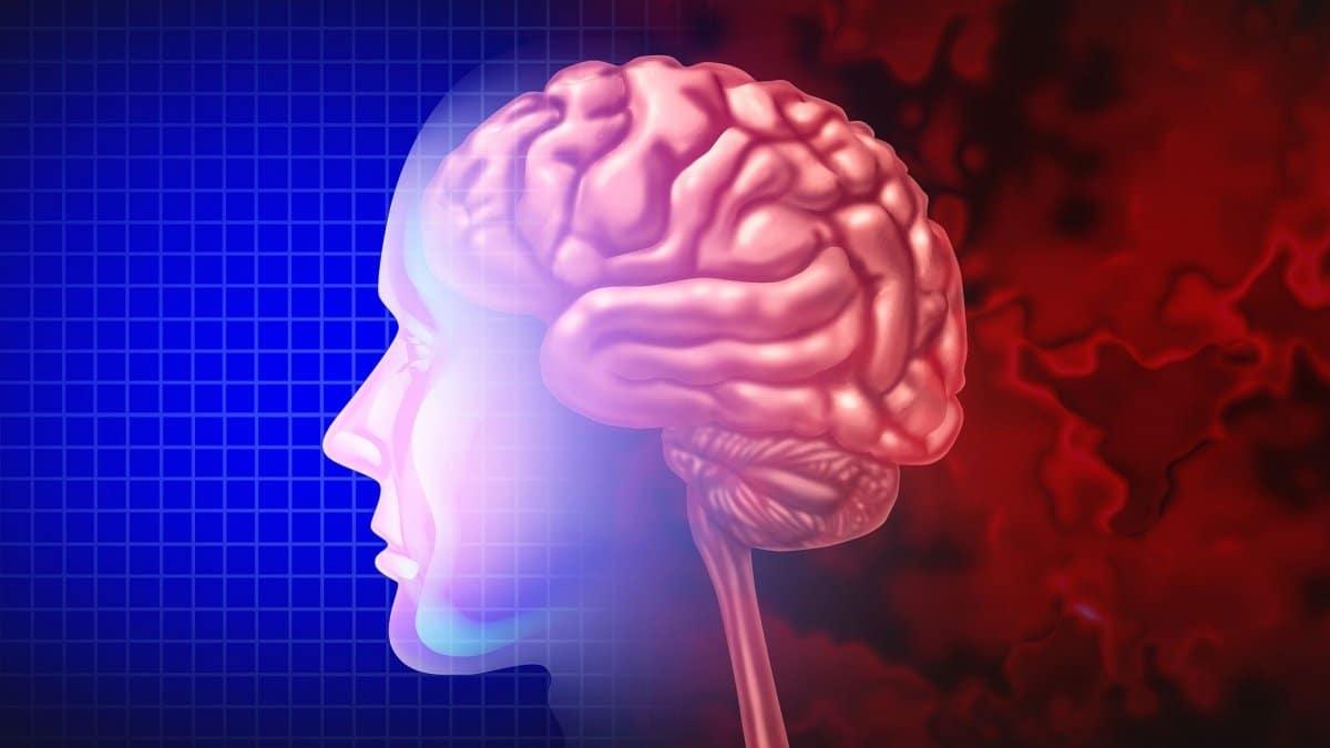 792d71b5 egefalos alzheimer