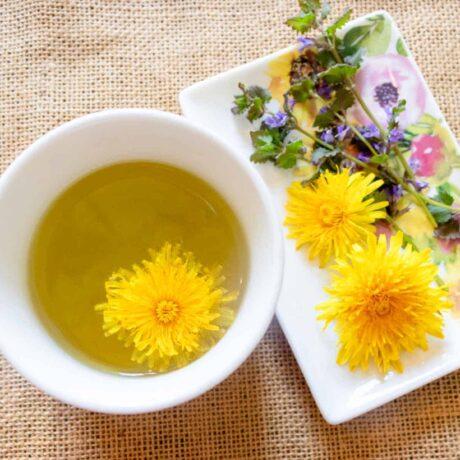 a-cup-of-dandelion-tea