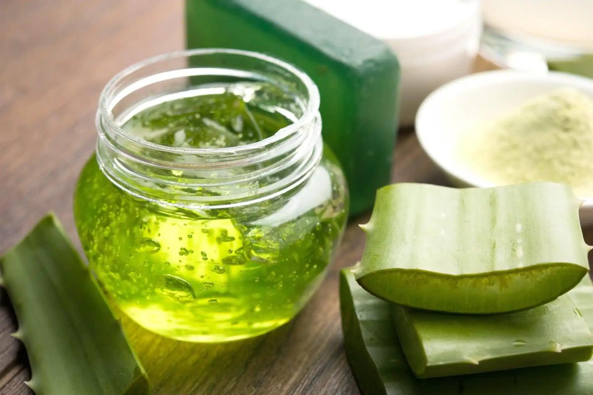 best aloe vera gel for face hair and skin hydration the love co