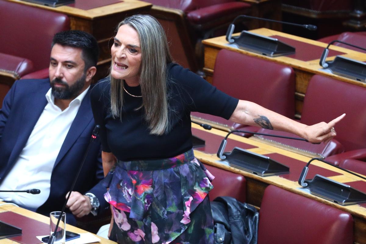 Κόντρα μεταξύ Γεωργιάδη και Πέρκα στη Βουλή: «Δεν σας απήγαγε κανένας, πήγατε για τη selfie στη Γάζα» - «Θα ξαναπάω» 3 Η Πέτη Πέρκα