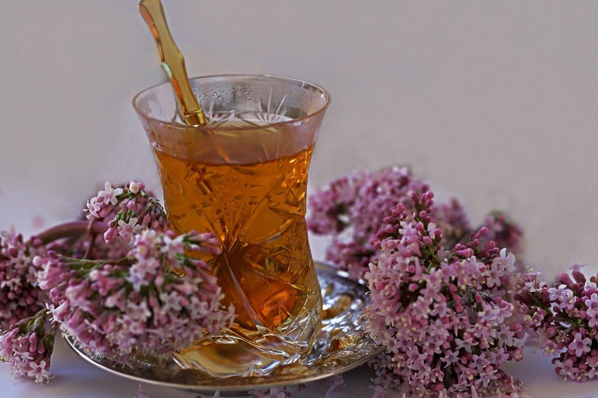 valeriana rofhma