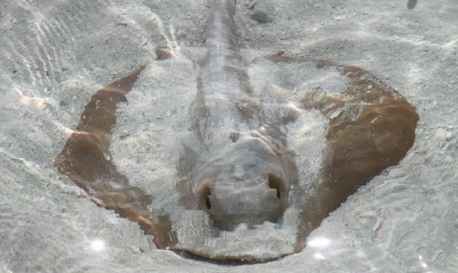 width=658